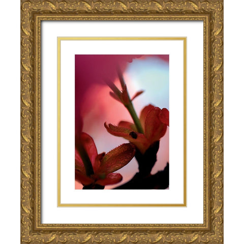 Prunus 3 Gold Ornate Wood Framed Art Print with Double Matting by Ayrault, Marc