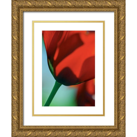 Tulipe 4 Gold Ornate Wood Framed Art Print with Double Matting by Ayrault, Marc