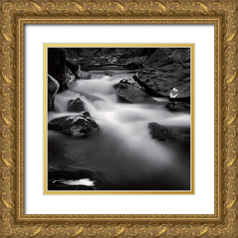 Castagniccia I Gold Ornate Wood Framed Art Print with Double Matting by Poli, Jean-Philippe