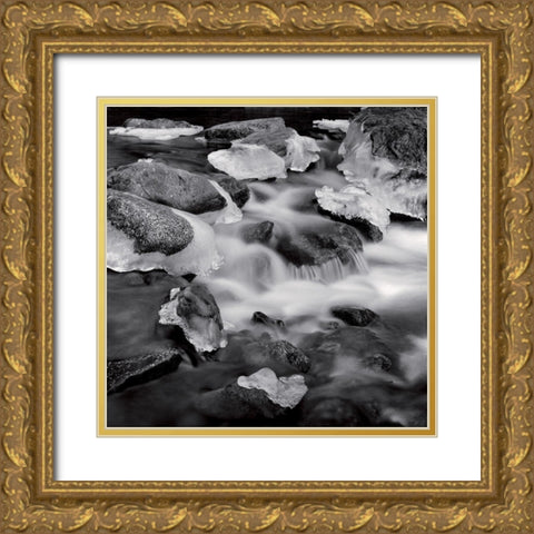 Castagniccia II Gold Ornate Wood Framed Art Print with Double Matting by Poli, Jean-Philippe