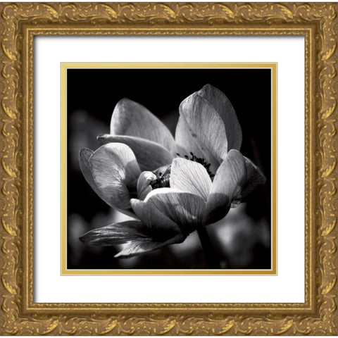 Spring dream Gold Ornate Wood Framed Art Print with Double Matting by Mercier, Bruno