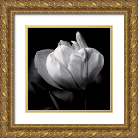 Morning caress Gold Ornate Wood Framed Art Print with Double Matting by Mercier, Bruno