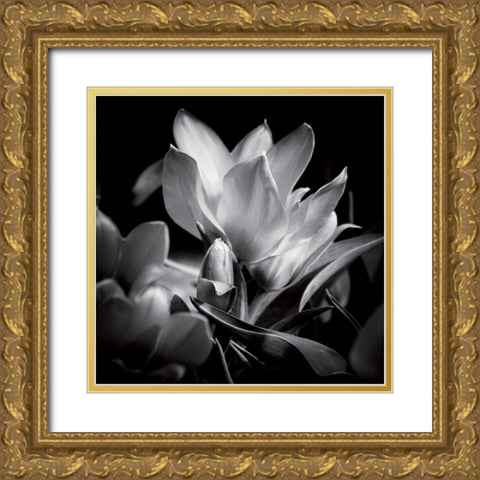 Opening Gold Ornate Wood Framed Art Print with Double Matting by Mercier, Bruno