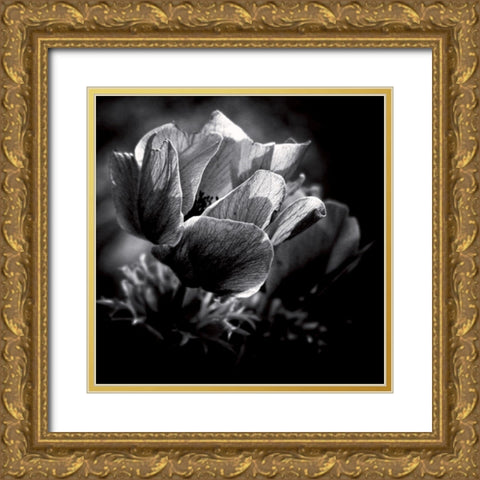 Looking for the light Gold Ornate Wood Framed Art Print with Double Matting by Mercier, Bruno