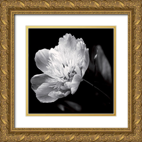 Dance on a volcano Gold Ornate Wood Framed Art Print with Double Matting by Mercier, Bruno