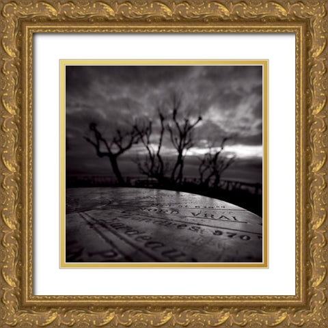 De tous les horizons Gold Ornate Wood Framed Art Print with Double Matting by Etchepare, Alain