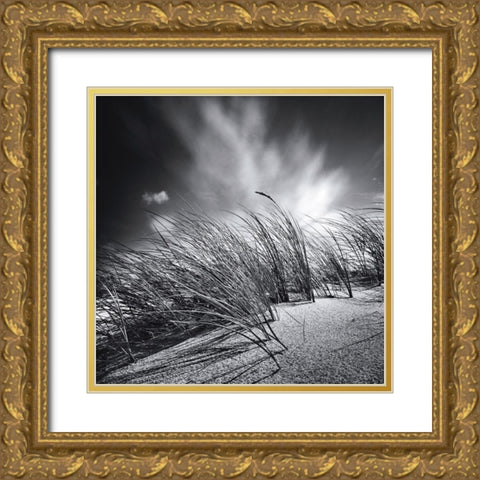 Suivre le vent Gold Ornate Wood Framed Art Print with Double Matting by Etchepare, Alain