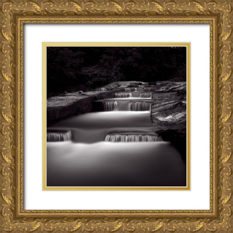 Marcher sur leau Gold Ornate Wood Framed Art Print with Double Matting by Etchepare, Alain