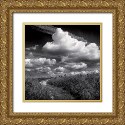 La clef des champs I Gold Ornate Wood Framed Art Print with Double Matting by de Lattre, Pascal