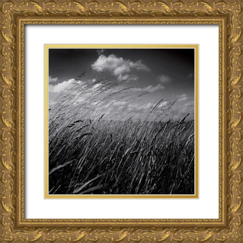 La clef des champs II Gold Ornate Wood Framed Art Print with Double Matting by de Lattre, Pascal
