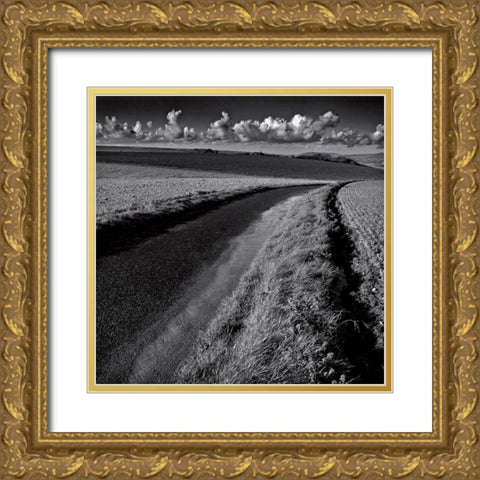 La clef des champs III Gold Ornate Wood Framed Art Print with Double Matting by de Lattre, Pascal