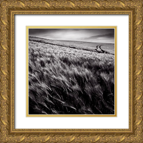 Dans le sens des epis Gold Ornate Wood Framed Art Print with Double Matting by de Lattre, Pascal