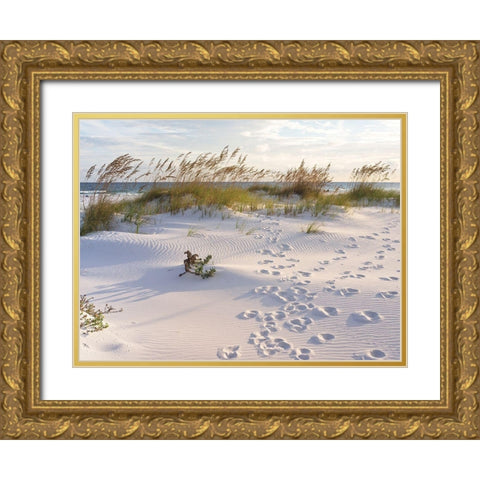 Plage 11 Gold Ornate Wood Framed Art Print with Double Matting by Braun Studio
