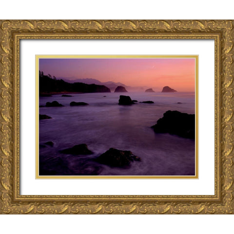Rocks at sunset Gold Ornate Wood Framed Art Print with Double Matting by Braun Studio