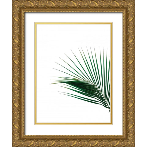 Green Palm Tree II Gold Ornate Wood Framed Art Print with Double Matting by Braun Studio