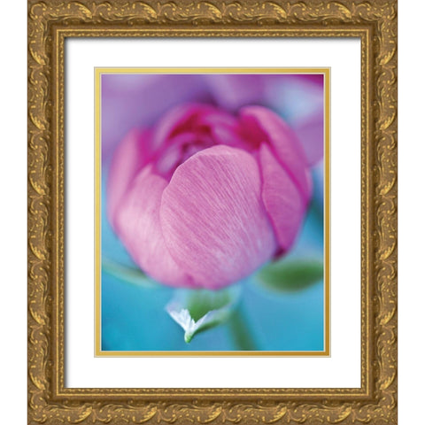 Rose en beaute Gold Ornate Wood Framed Art Print with Double Matting by Friis-Larsen, Liv