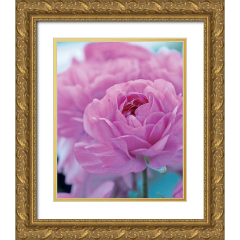 Roses Anglaises Gold Ornate Wood Framed Art Print with Double Matting by Friis-Larsen, Liv