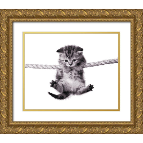 Oups ! Gold Ornate Wood Framed Art Print with Double Matting by Braun Studio