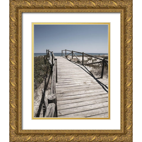 Plage 8 Gold Ornate Wood Framed Art Print with Double Matting by Braun Studio