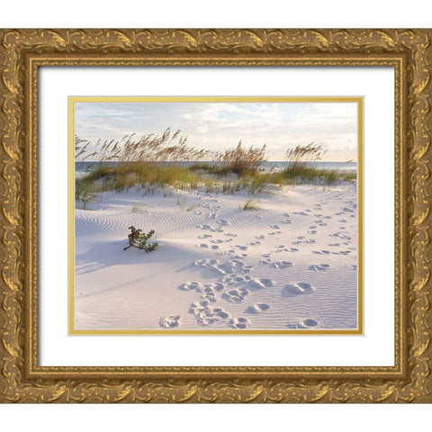 Plage 11 Gold Ornate Wood Framed Art Print with Double Matting by Braun Studio
