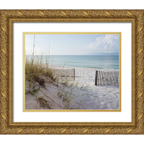 Plage 12 Gold Ornate Wood Framed Art Print with Double Matting by Braun Studio