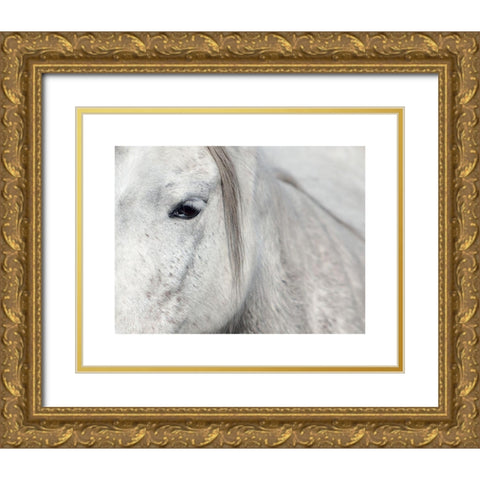 Crin Blanc 1 Gold Ornate Wood Framed Art Print with Double Matting by Braun Studio