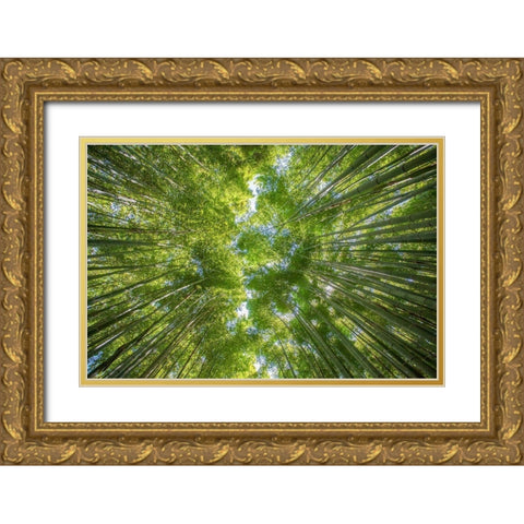 Ciel darbres Gold Ornate Wood Framed Art Print with Double Matting by Braun Studio