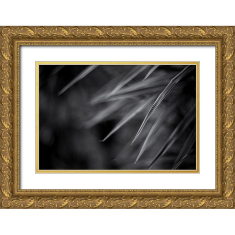 Feuillage DÃ©licat Gold Ornate Wood Framed Art Print with Double Matting by Braun Studio