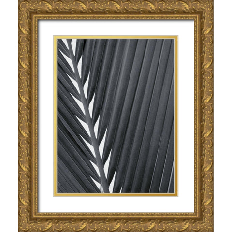 Feuillage Design Gold Ornate Wood Framed Art Print with Double Matting by Braun Studio