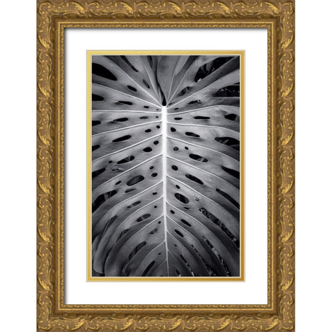 Feuillage Monstera Gold Ornate Wood Framed Art Print with Double Matting by Braun Studio