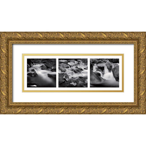 Eaux vives Gold Ornate Wood Framed Art Print with Double Matting by Poli, Jean-Philippe