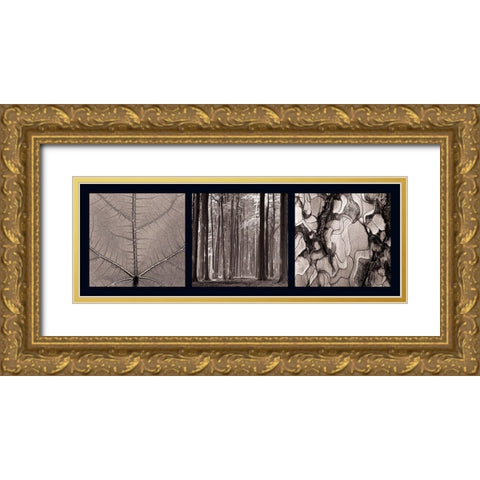 Arbres Gold Ornate Wood Framed Art Print with Double Matting by Pinsard, Laurent