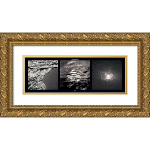 Eau Gold Ornate Wood Framed Art Print with Double Matting by Pinsard, Laurent