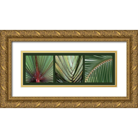 Palmiers Gold Ornate Wood Framed Art Print with Double Matting by Pinsard, Laurent