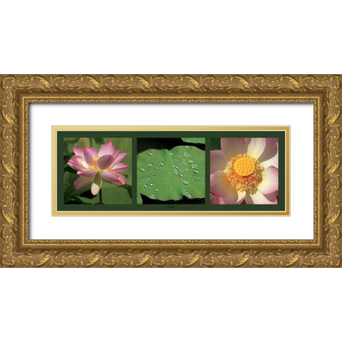 Lotus Gold Ornate Wood Framed Art Print with Double Matting by Pinsard, Laurent