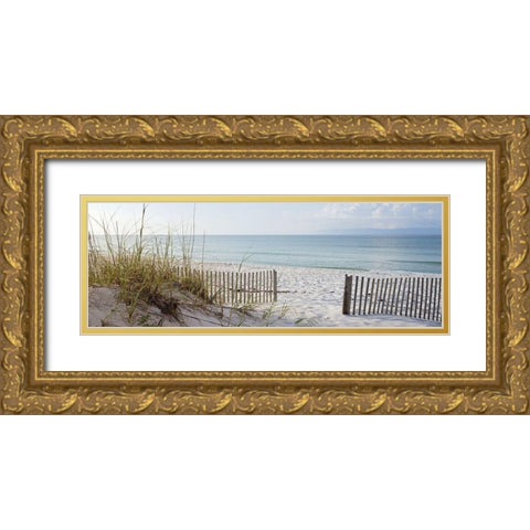 Plage 12 Gold Ornate Wood Framed Art Print with Double Matting by Braun Studio