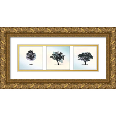 Spectrum Composition Gold Ornate Wood Framed Art Print with Double Matting by Braun Studio