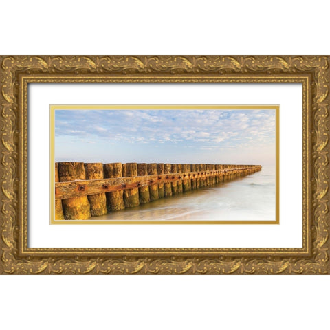 Ponton 1 Gold Ornate Wood Framed Art Print with Double Matting by Braun Studio