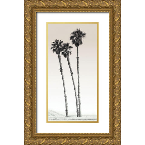 Californian Palm Trees Gold Ornate Wood Framed Art Print with Double Matting by Braun Studio