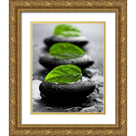 Bien-Ãªtre Gold Ornate Wood Framed Art Print with Double Matting by Braun Studio