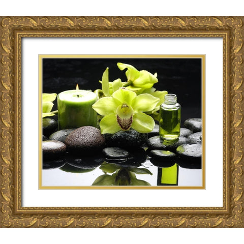 AromathÃ©rapy Gold Ornate Wood Framed Art Print with Double Matting by Braun Studio