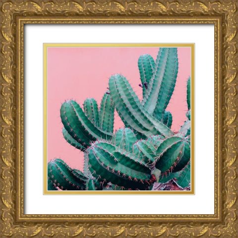 Braun Studio - Pink cactus Gold Ornate Wood Framed Art Print with Double Matting by Braun Studio