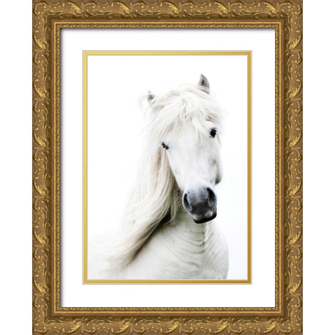 Crin Blanc Gold Ornate Wood Framed Art Print with Double Matting by Blonde Attitude
