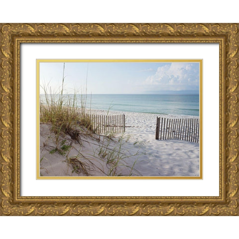Plage 12 Gold Ornate Wood Framed Art Print with Double Matting by Braun Studio