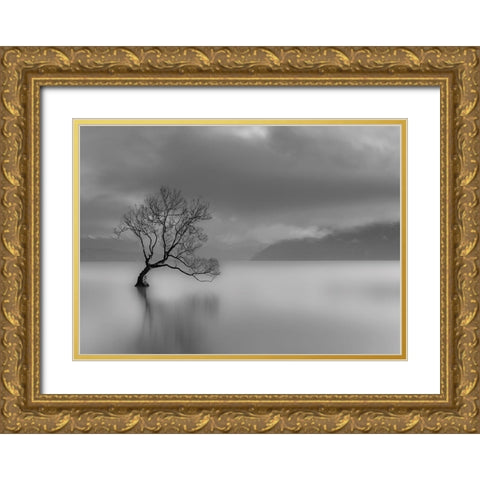 Larbre du lac Gold Ornate Wood Framed Art Print with Double Matting by Braun Studio