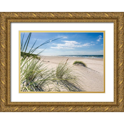 Plage 13 Gold Ornate Wood Framed Art Print with Double Matting by Braun Studio