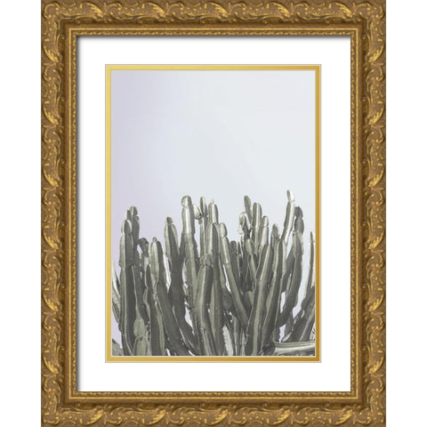 Cactus Cierges Gold Ornate Wood Framed Art Print with Double Matting by Braun Studio