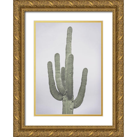 Cactus Totem Gold Ornate Wood Framed Art Print with Double Matting by Braun Studio