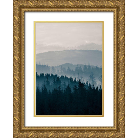 Grey Mountains Gold Ornate Wood Framed Art Print with Double Matting by Braun Studio