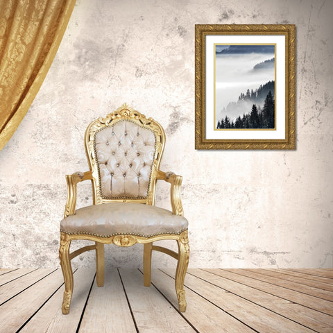 Misty Mountains Gold Ornate Wood Framed Art Print with Double Matting by Braun Studio